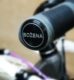 Bike handlebar end cap plug