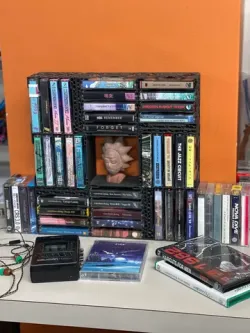 Cassette Organizer for Ikea Kallax Cubes