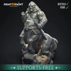 Centaur Warrior