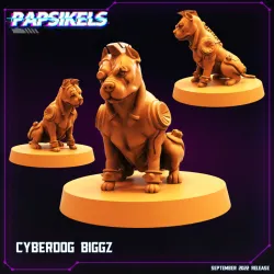 CYBERDOG BIGGZ