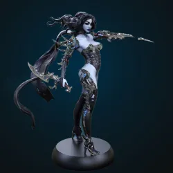 Dark Elf Assassin