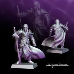 Dark Elf Prince