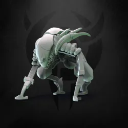 December Release 2022 - Rederoptus
