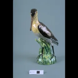Figure Of A Snipe