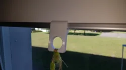 Finger ring clip for IKEA window blinds (German: Rollos)