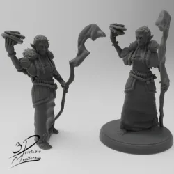 Firbolg Druid