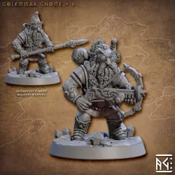Golemmar Gnome - B (Gnomes of Golemmar)