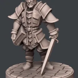 Human Battlemage