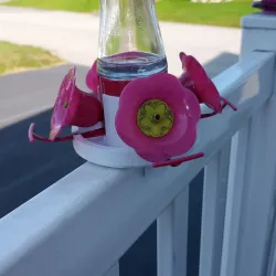 humingbird feeder case