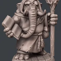 Loxodon Wizard