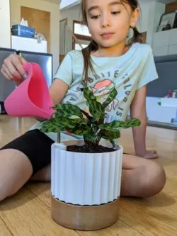 Parametric Self Watering Planter w/ Water Level Indicator