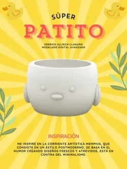Patito Maceta