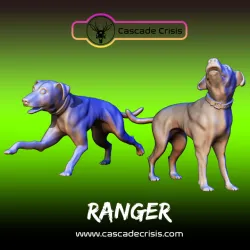 Ranger (Dog) 2 Poses