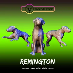 Remington (Dog) 3 Poses