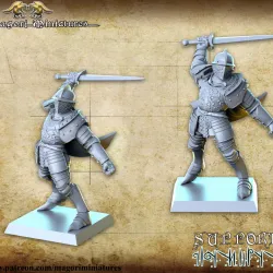 Renessaince knight 2