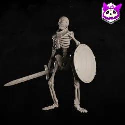 Shadow-Forged Warrior - Sword and Shield