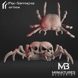 Siamese Spider Skull