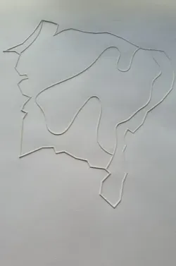 Tactile image: Brazil's Northeast region climate map