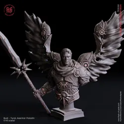 Tural, Aasimar Paladin - Bust