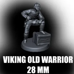 Viking Old Warrior Miniature (28mm) (test)