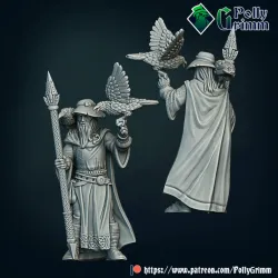 Viking set. Northern god. Odin with ravens