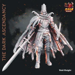 Void Knight 1