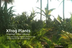 2020 XfrogPlants Tropical Trees Library  3D model