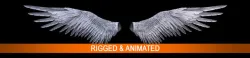 Angel Wings  3D model