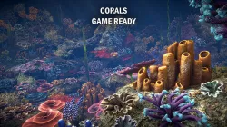 Corals game ready Low-poly 3D model