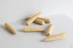Corn 005 3D model
