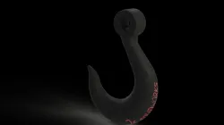 Crane hook