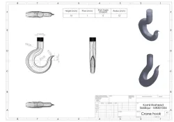 Crane Hook