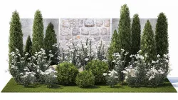 Garden with thuja cypress pine and Nerium oleander plant 1382 3D model