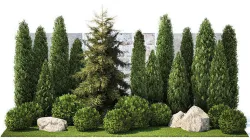 Garden with thuja cypress pine and topiary plant 1381 3D model
