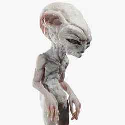 Gray Alien Blender Low-poly 3D model