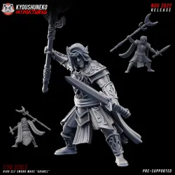 High Elf Sword Mage Aranel