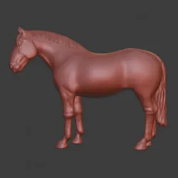 Irish Draught Horse