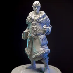 Mage - snow elf