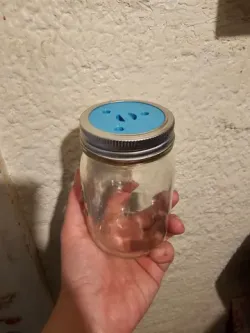 Mason Jar (standard mouth) Fly Trap Lid