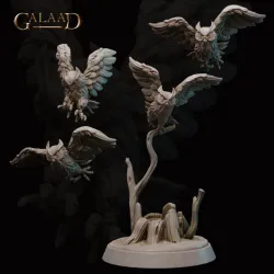 Owls
