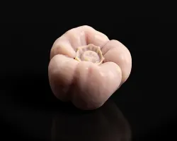 Pepper - scan 3D print model