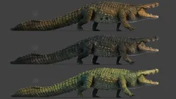 Realistic Crocodile - Alligator Low-poly 3D model
