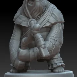 Sea Tortle Rogue 2