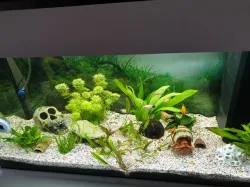Shrimp Cave