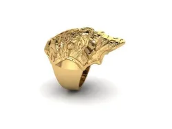 Space bug Head Ring R01 3D print model