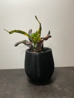 Spiral Pot - Planter