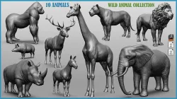 Wild animal collection 3D model