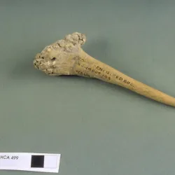 Bone Point