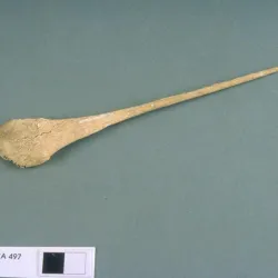 Bone Point