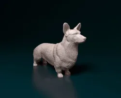 Cardigan Welsh Corgi 3D print model